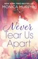 Never Tear Us Apart: Never Series 1