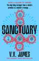 Sanctuary: Big Little Lies meets The Crucible in this Sunday Times bestselling dark fantasy thriller - now a major TV series