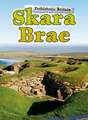 Finch, D: Skara Brae