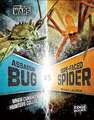 Klepeis, A: Assassin Bug vs Ogre-Faced Spider