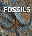 Fossils