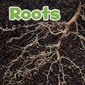 Roots