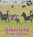 Grassland Food Chains