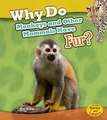 Why Do Monkeys and Other Mammals Have Fur?