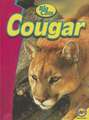 Cougar