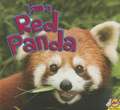 I Am a Red Panda