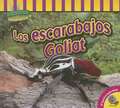 Los Escarabajos Goliat