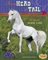 From Head to Tail: All about Horse Care