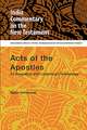 Acts of the Apostles: An Exegetical and Contextual Commentary