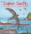 Super Swifts: The Small Bird With Amazing Powers