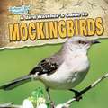 A Bird Watcher's Guide to Mockingbirds