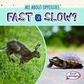 Fast or Slow?