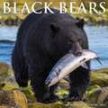 BLACK BEARS 2022 WALL CALENDAR