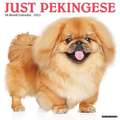 PEKINGESE 2022 WALL CALENDAR