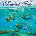 TROPICAL FISH 2022 WALL CALENDAR