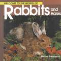 Welcome to the World of Rabbits and Hares