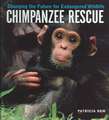 Chimpanzee Rescue: Changing the Future for Endangered Wildlife