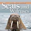 Exploring the World of Seals and Walruses