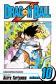 Dragon Ball Z, Vol. 10