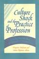 Culture Shock and the Practice of Profession: "Training the Next Wave in Rhetoric and Composition"