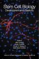 Stem Cell Biology: Development and Plasticity (Annals of the New York Academy of Sciences, Volume 1049, May 2005)