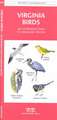 Virginia Birds: A Folding Pocket Guide to Familiar Species