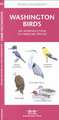 Washington Birds: A Folding Pocket Guide to Familiar North American Species