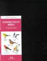 Connecticut Birds: A Folding Pocket Guide to Familiar Species