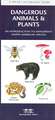 Dangerous Animals & Plants: A Folding Pocket Guide to Dangerous North American Species