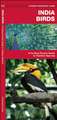 India Birds: A Folding Pocket Guide to Familiar Species