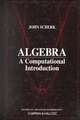 Algebra: A Computational Introduction