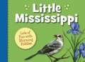 Little Mississippi