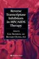 Reverse Transcriptase Inhibitors in HIV/AIDS Therapy