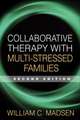 Collaborative Therapy with Multi-Stressed Families, Second Edition