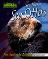 Southern Sea Otters: Fur-Tastrophe Avoided