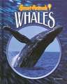 Whales