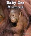 Baby Zoo Animals