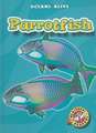 Parrotfish