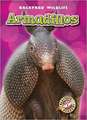 Armadillos