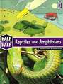 Reptiles and Amphibians: Great Story & Cool Facts