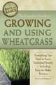 The Complete Guide to Growing and Using Wheatgrass: Everything You Need to Know Explained Simply, Including Easy-To-Make Recipes