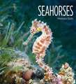 Seahorses