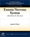 Enteric Nervous System