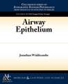 Airway Epithelium