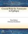 Crucial Role for Astrocytes in Epilepsy