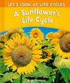 A Sunflower's Life Cycle