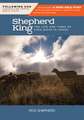 Following God David, the Shepherd King: The Life and Times of King David in Israel