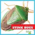 Stink Bugs