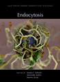 Endocytosis