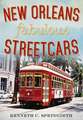 New Orleans Fabulous Streetcars